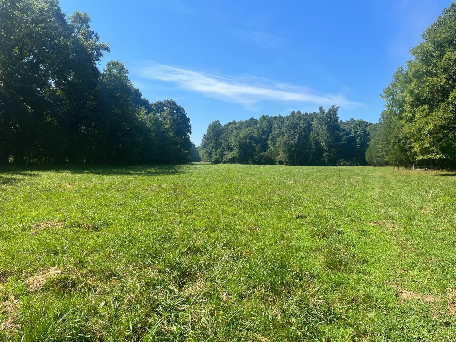photo of four hills conservation mitigation easement nc
