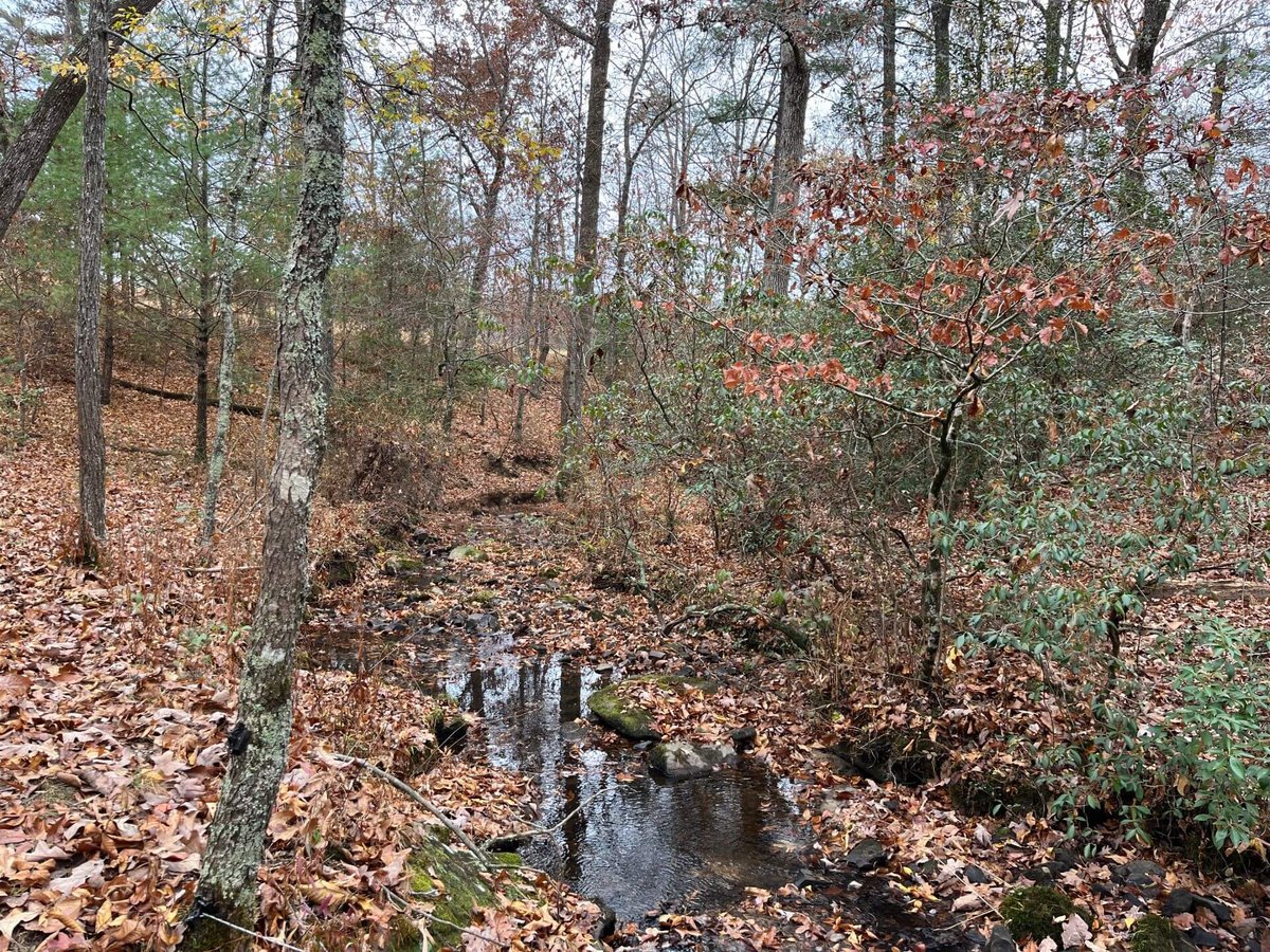 photo of high hood conservation easement cumberland county