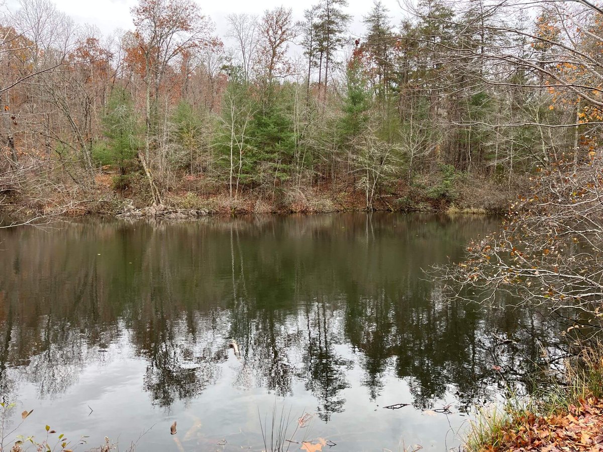 photo of high hood conservation easement