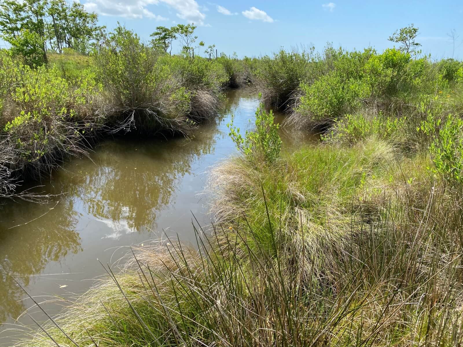 photo of hitchcock creeek conservation easement tx