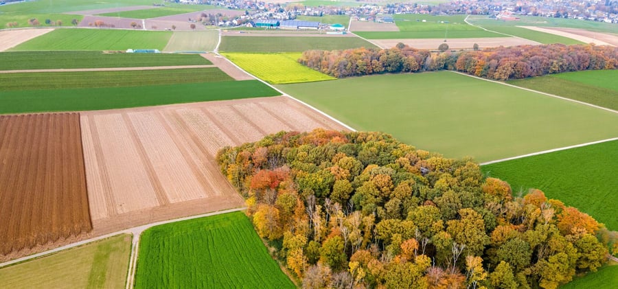 photo of land with conservation easement