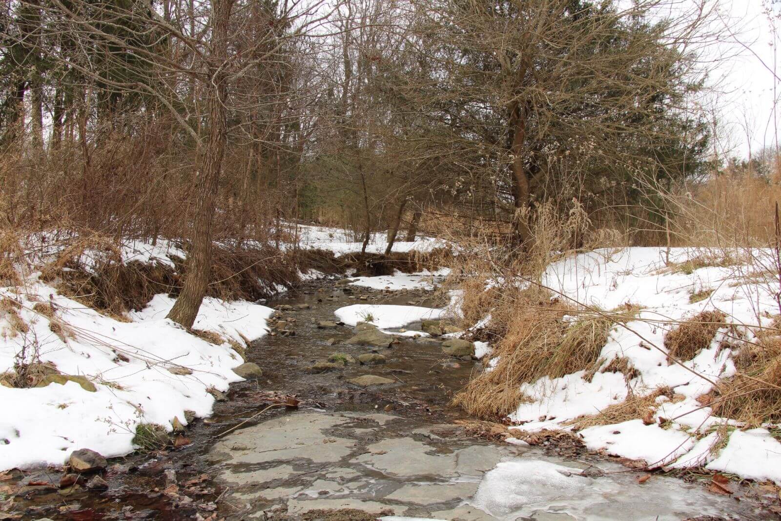 photo of little cabin conservation easement in north carolina