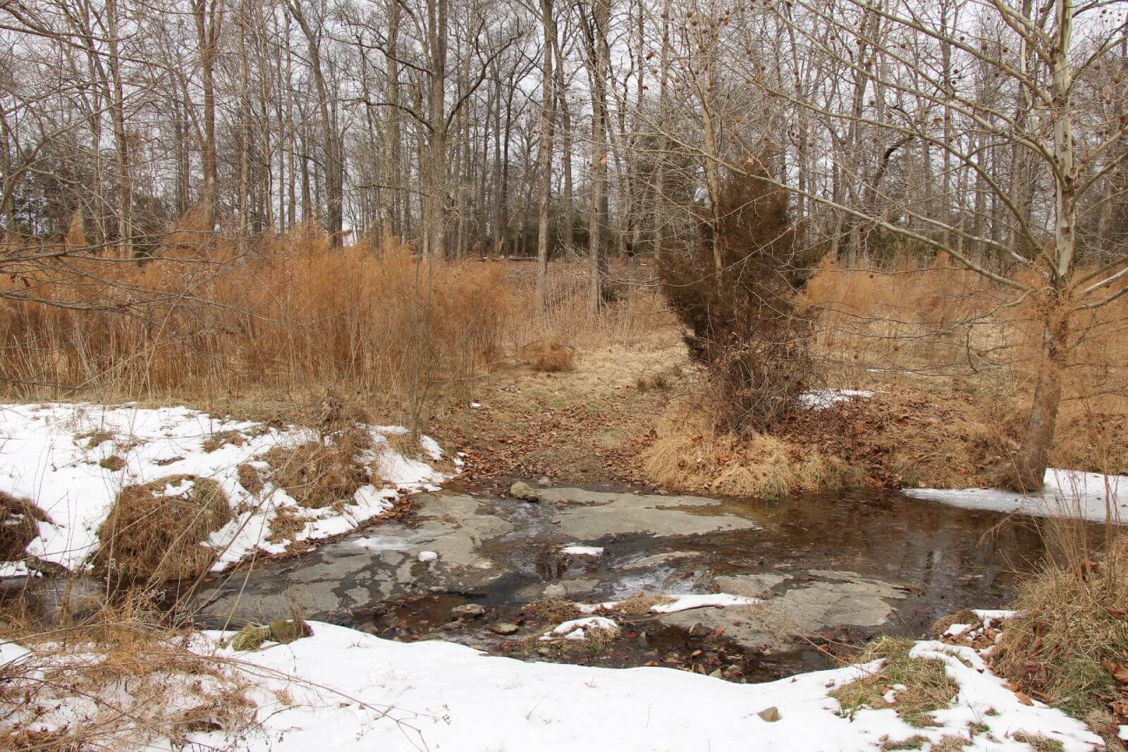 photo of little cabin conservation easement nc