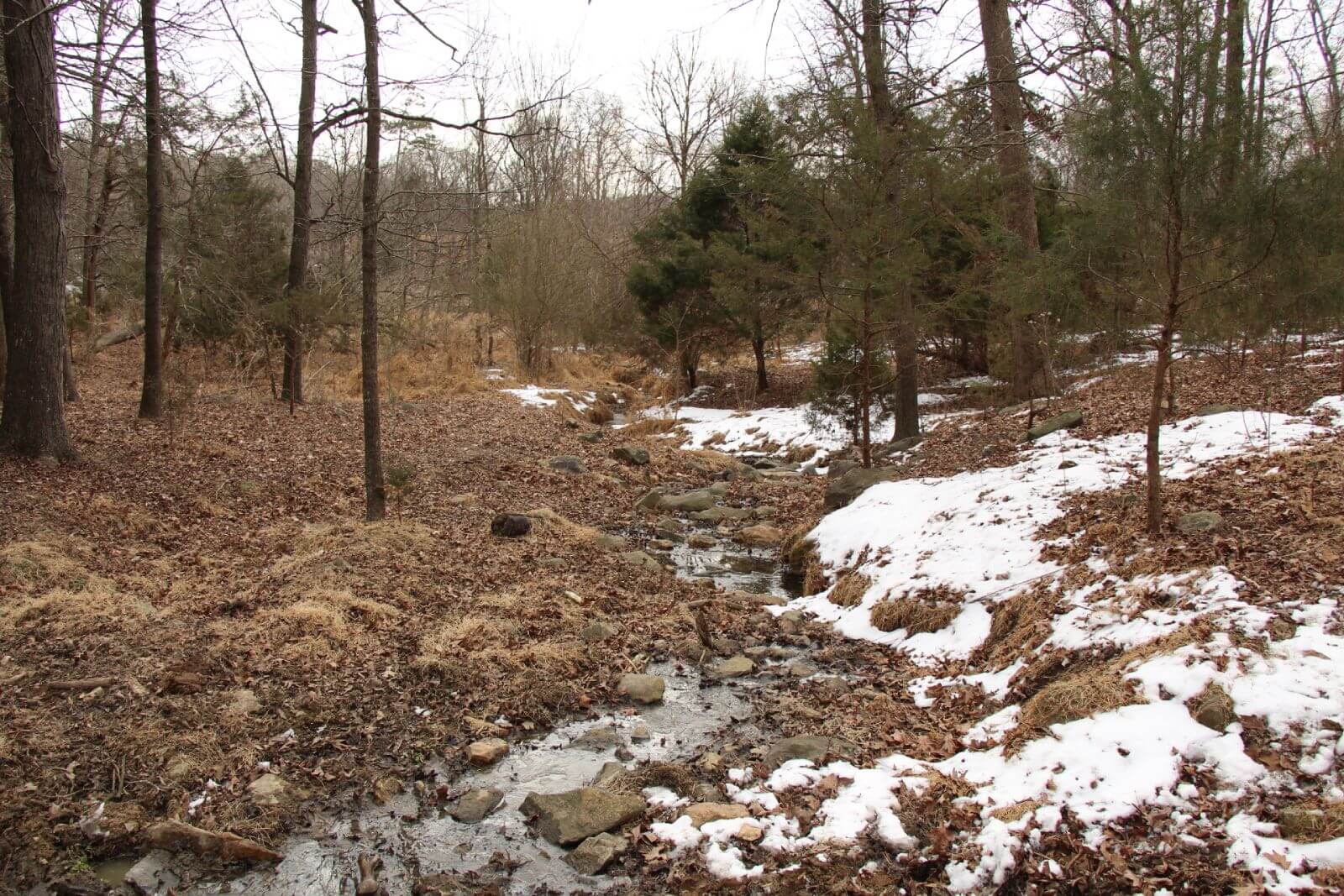 photo of little cabin conservation mitigation easement nc
