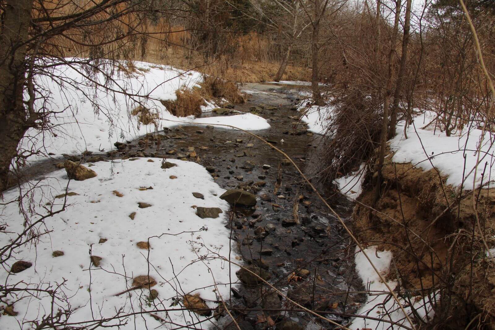 photo of little cabin conservation mitigation easement