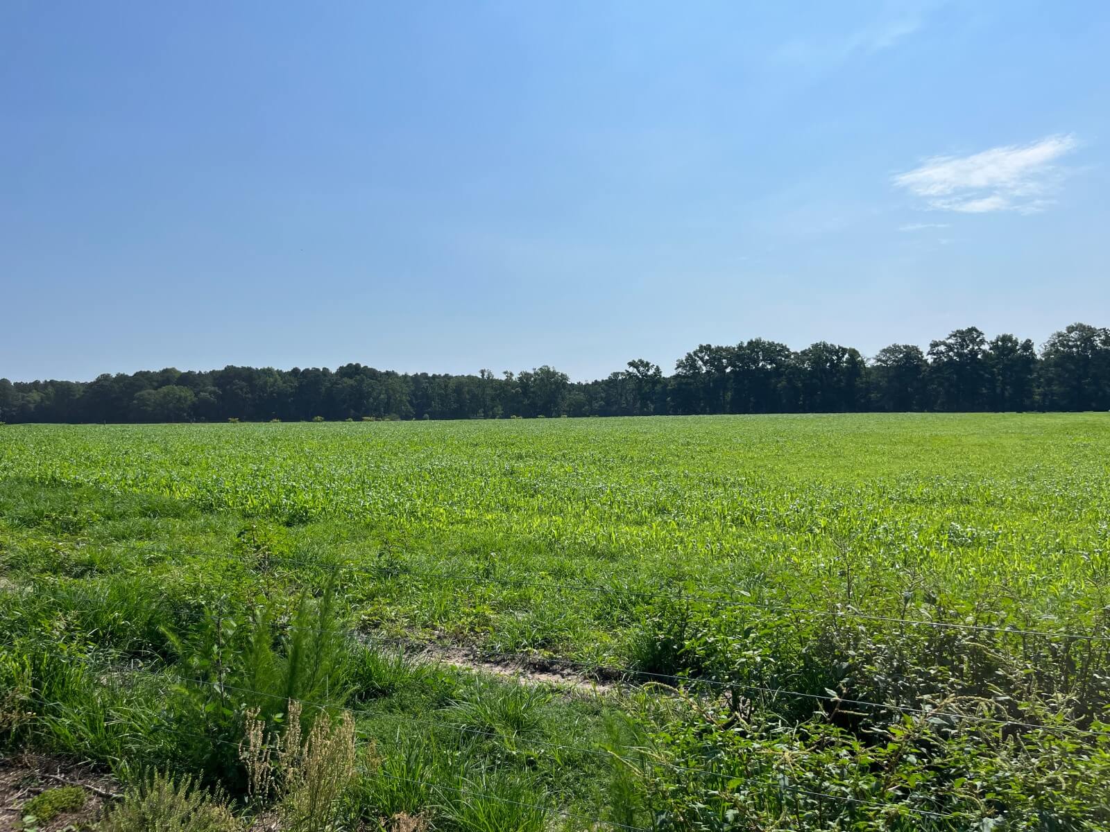 photo of loop road conservation easement nc