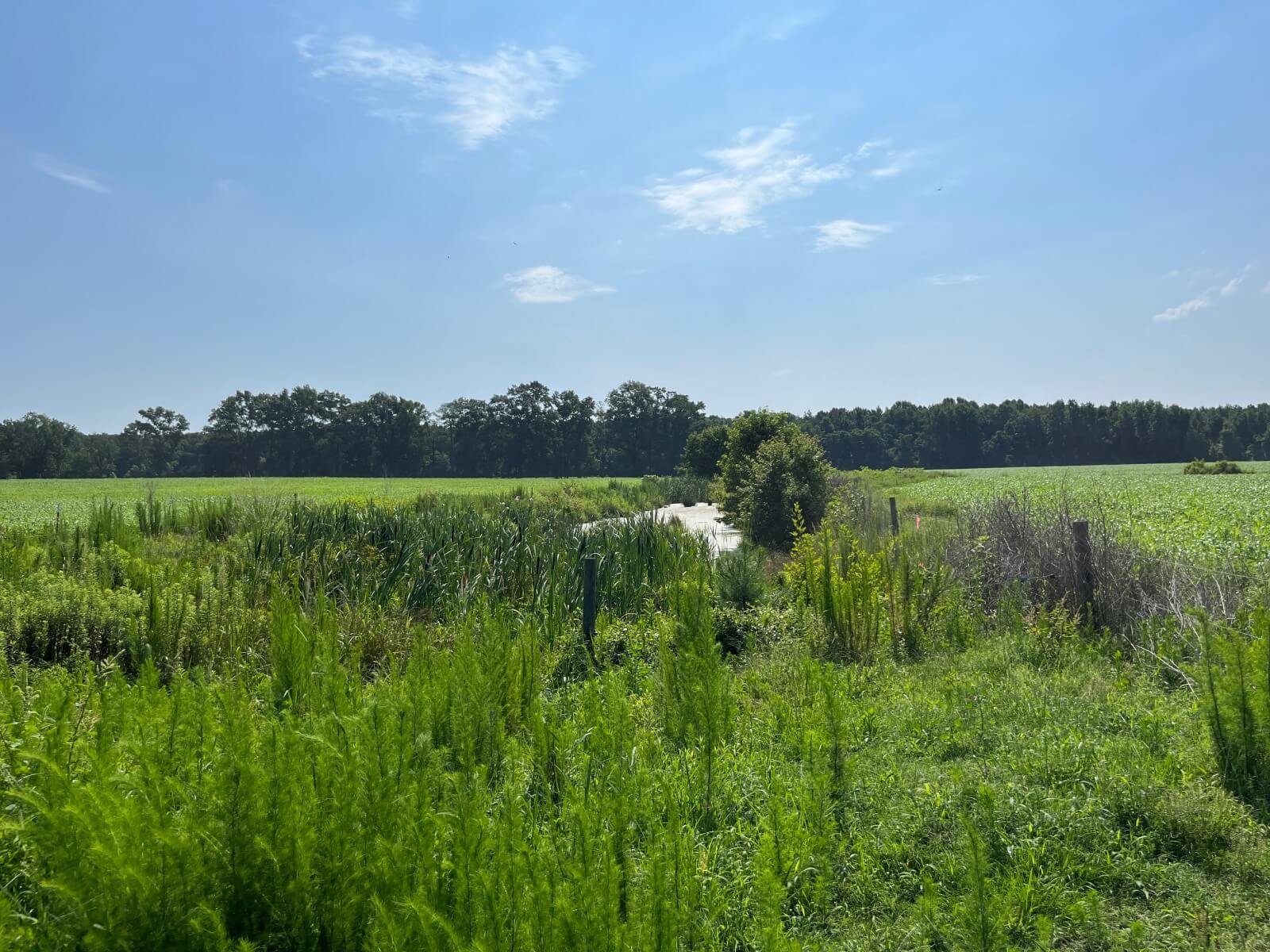 photo of loop road conservation easement north carolina