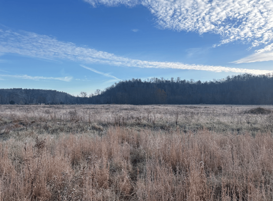 photo of marsh creek mitigation conservation easement in kentucky