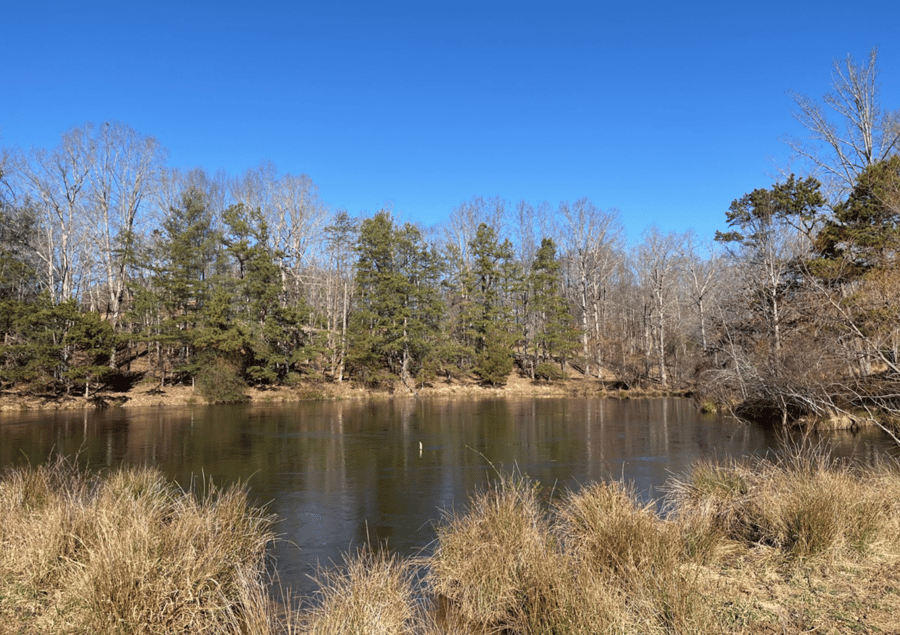 photo of miller conservation easement in north carolina