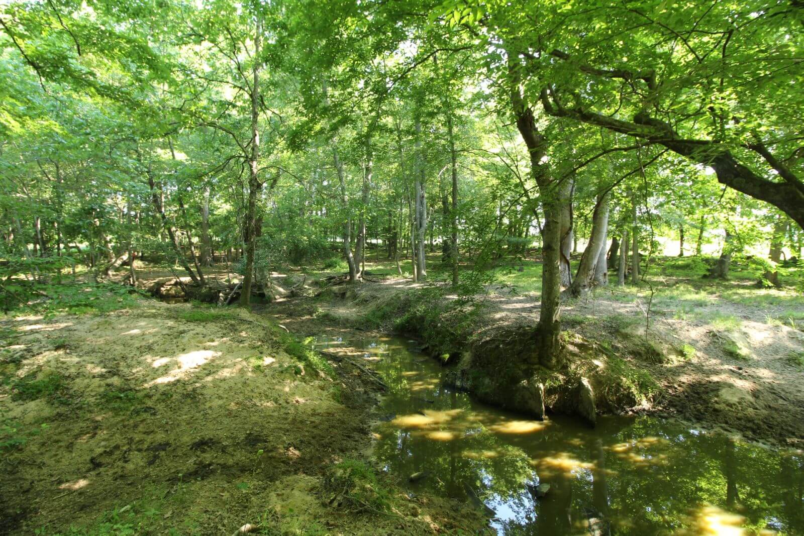 photo of monkey wrench conservation easement in north carolina