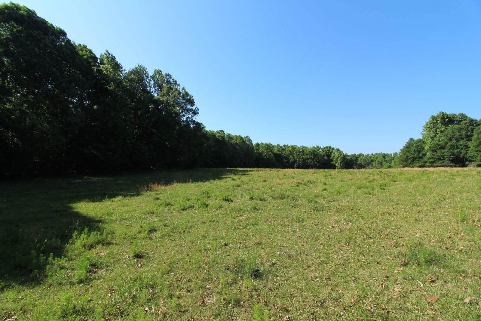photo of monkey wrench conservation easement