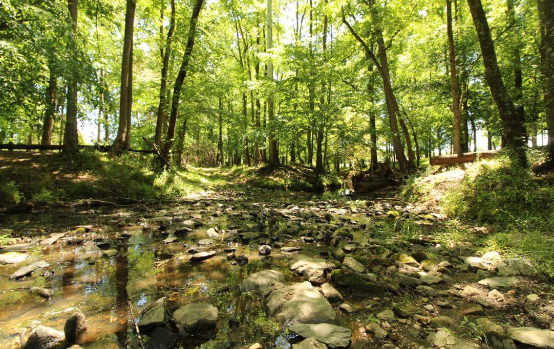 photo of mudhoney conservation easement in north carolina