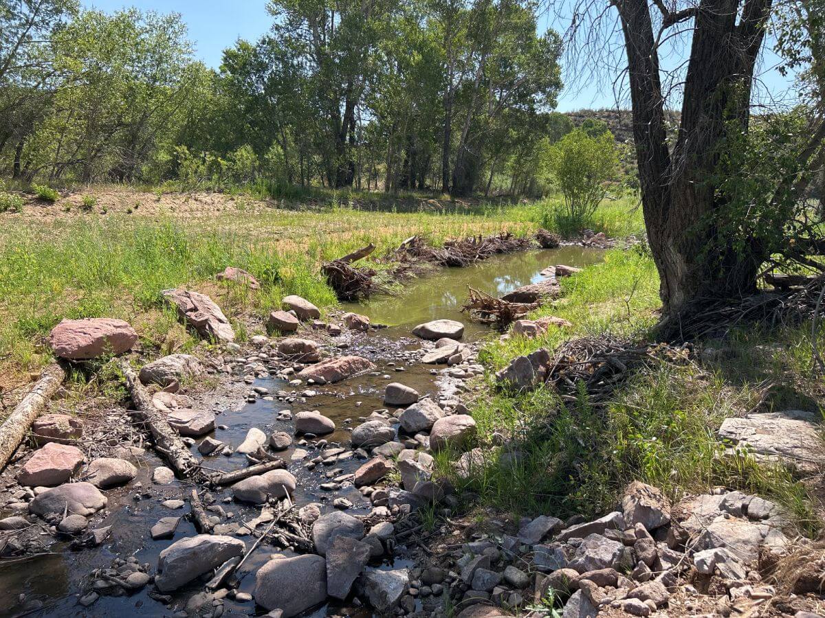 photo of north fork poudre conservation easement colorado