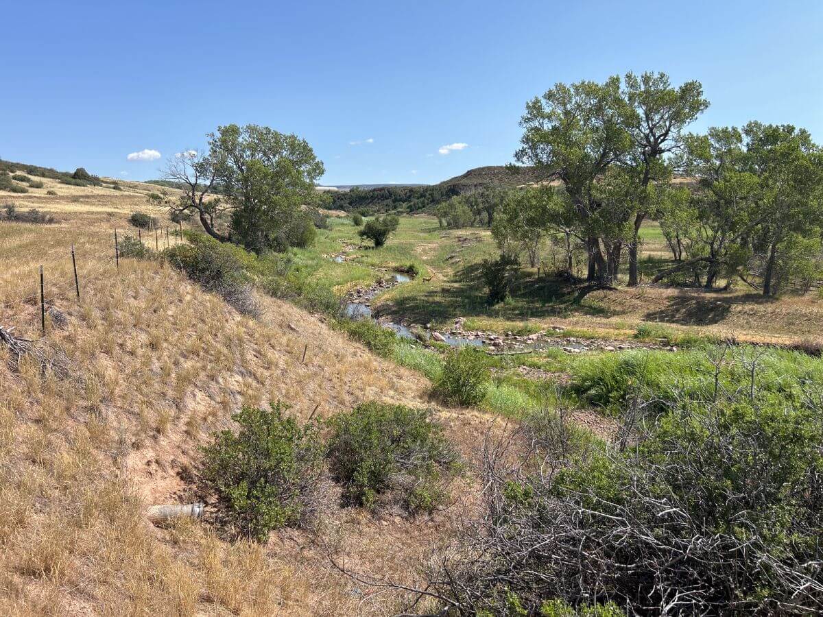 photo of north fork poudre conservation easement