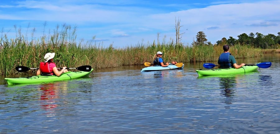 photo of people kayaking in alligator creek nc