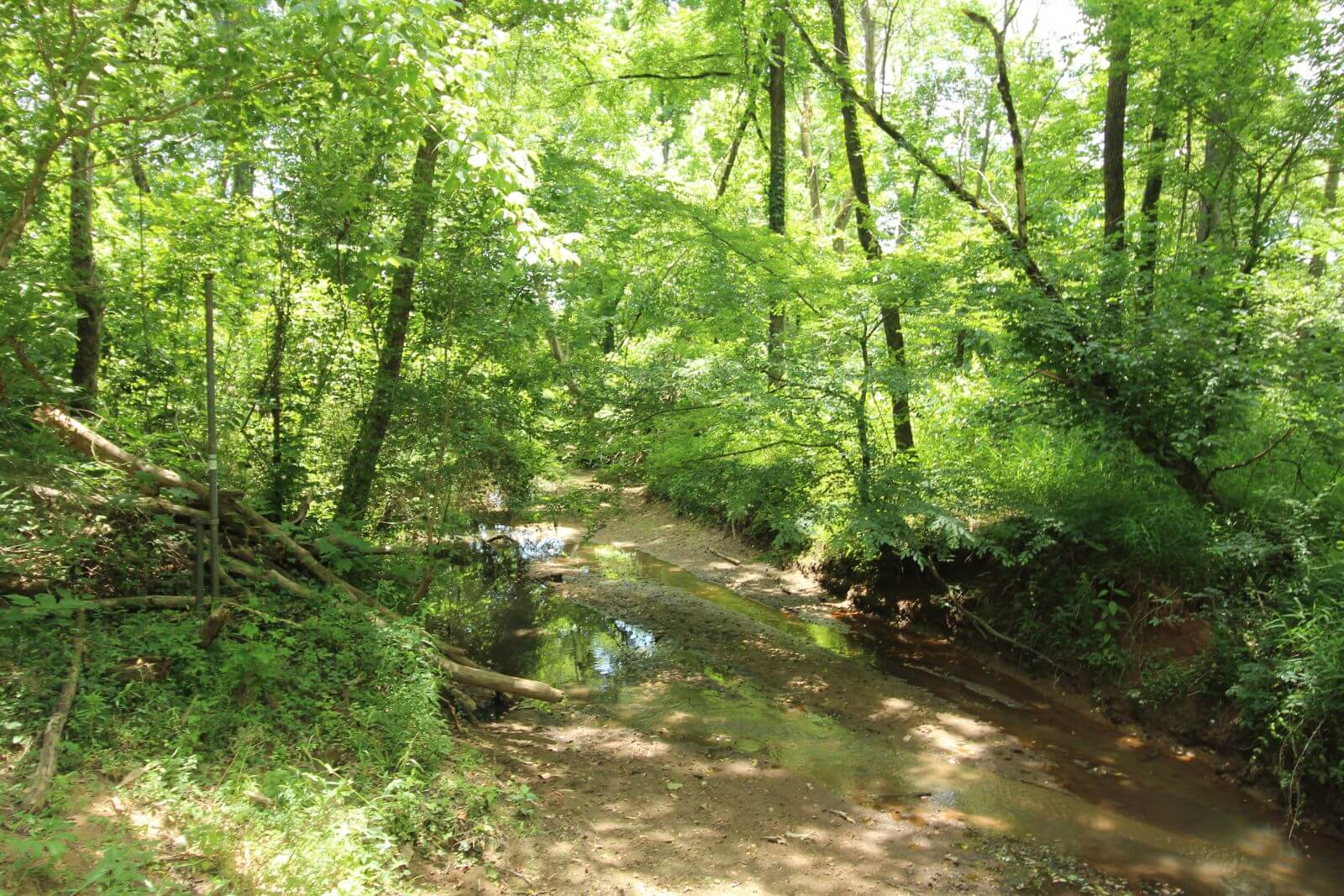 photo of poes landing conservation easement sc