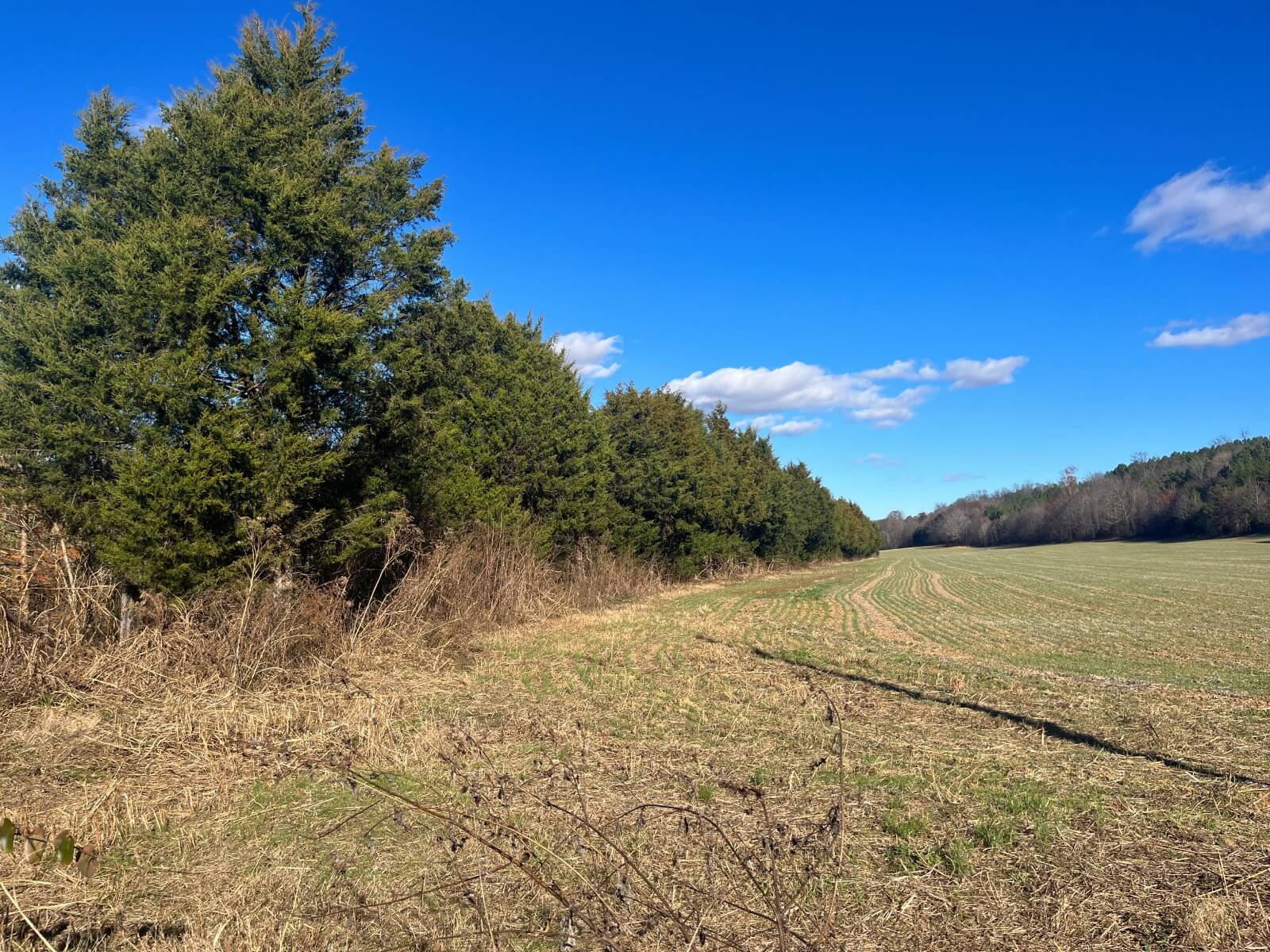 photo of porterhouse valley conservation easement tennessee