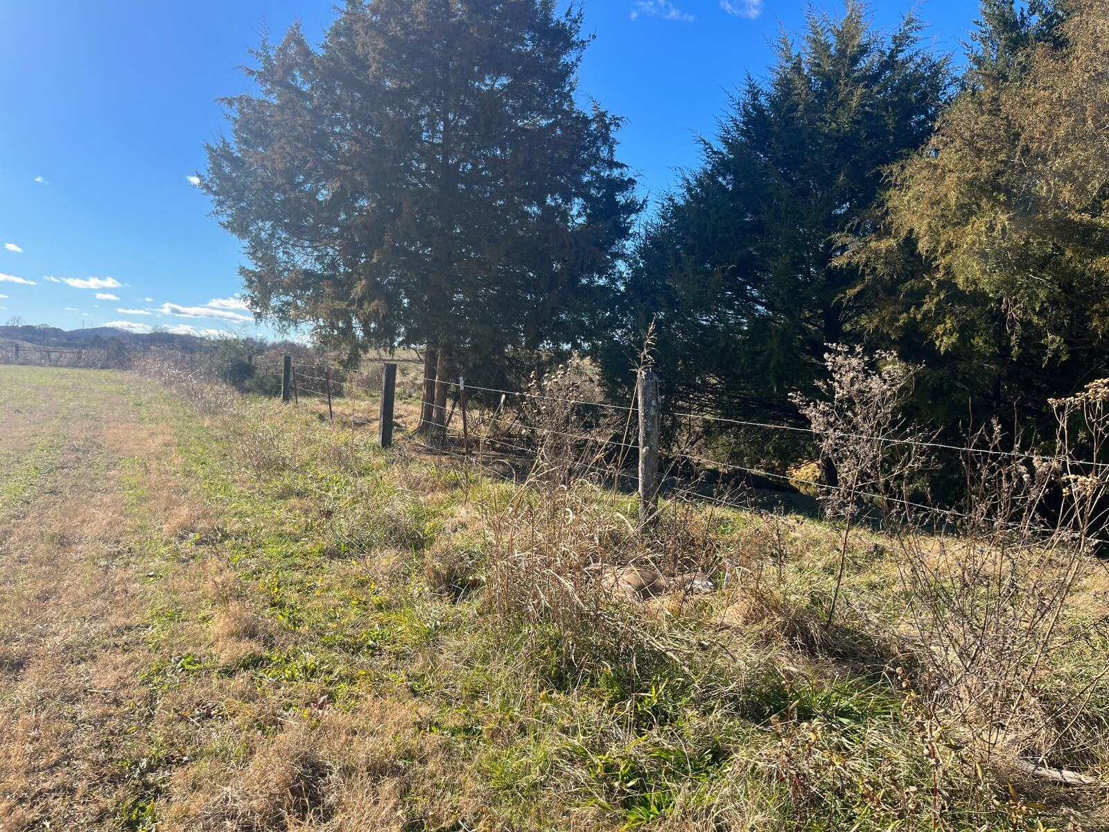 photo of porterhouse valley conservation mitigation easement tennessee