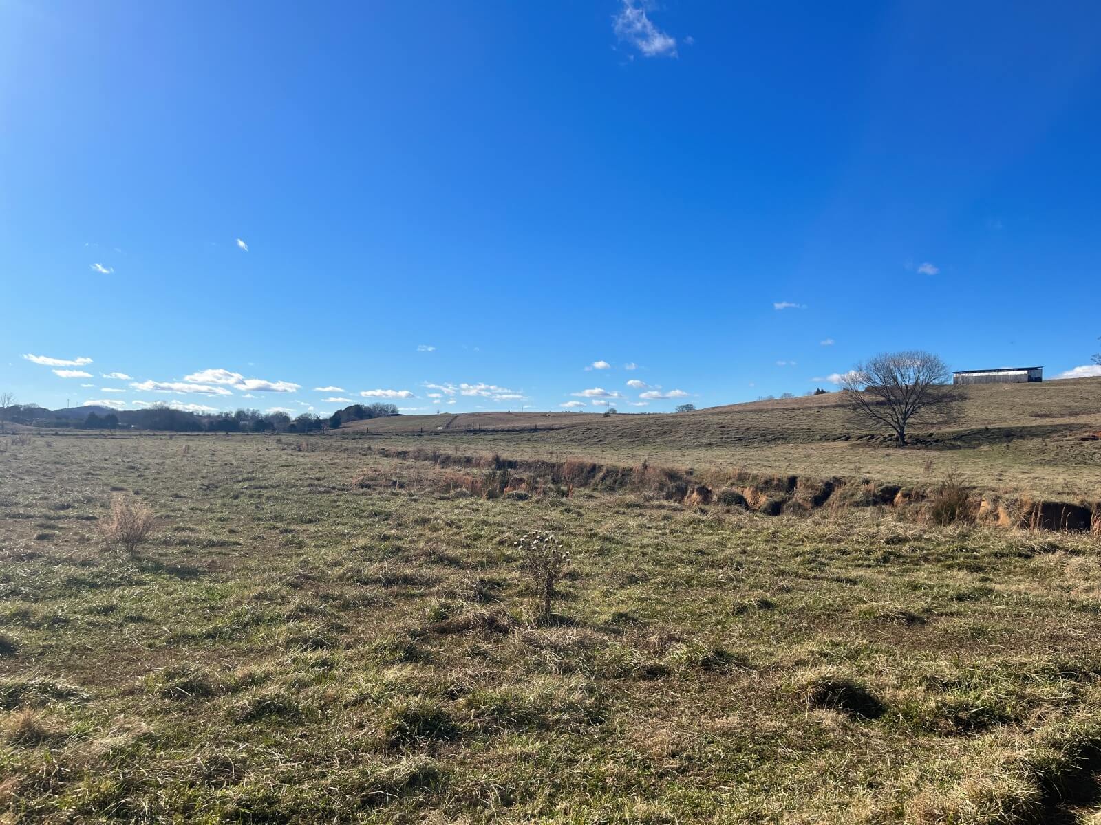 photo of porterhouse valley conservation mitigation easement tn