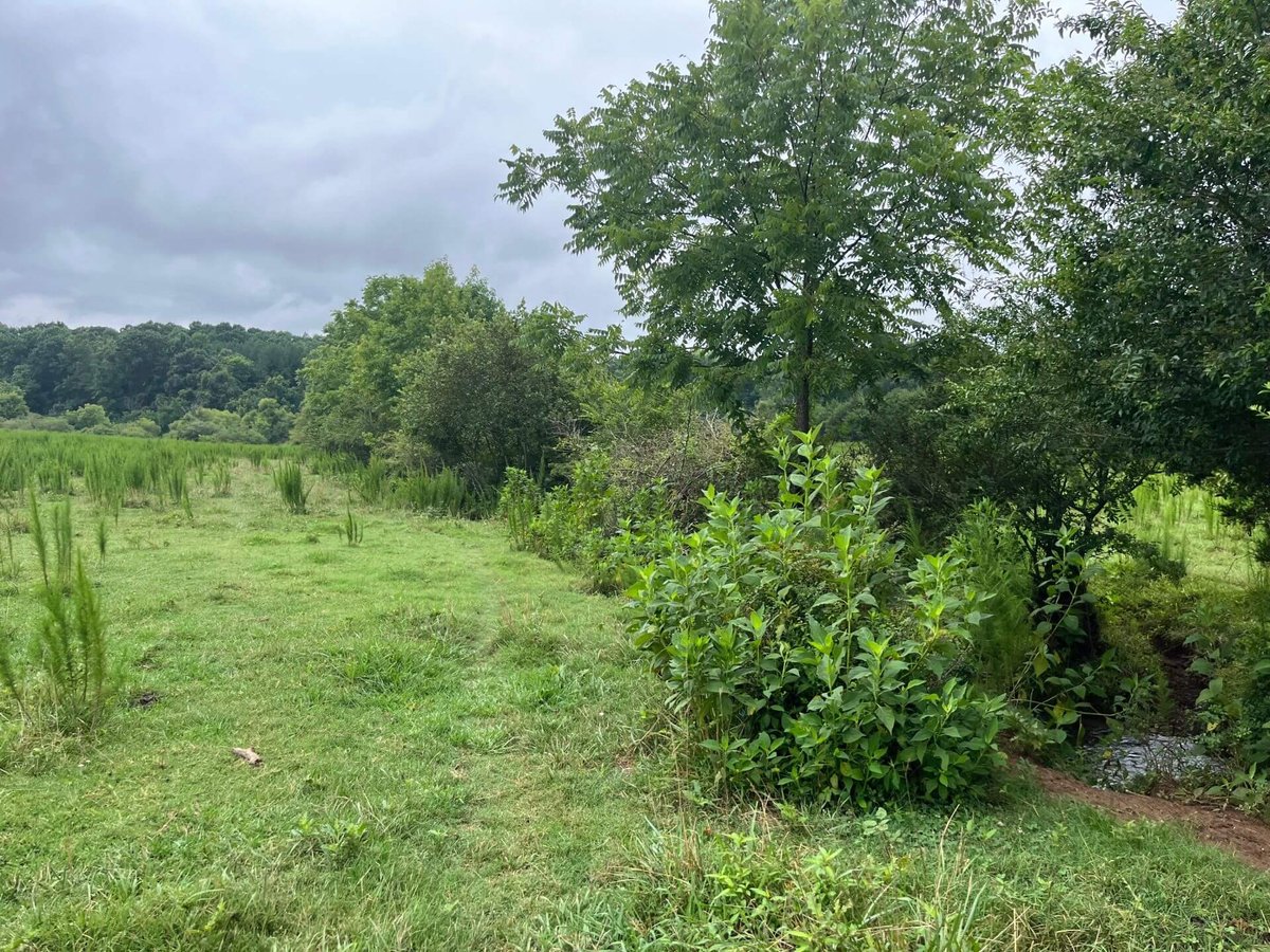 photo of proctor dairy conservation easement catawba county