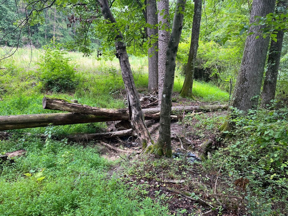 photo of proctor dairy conservation easement