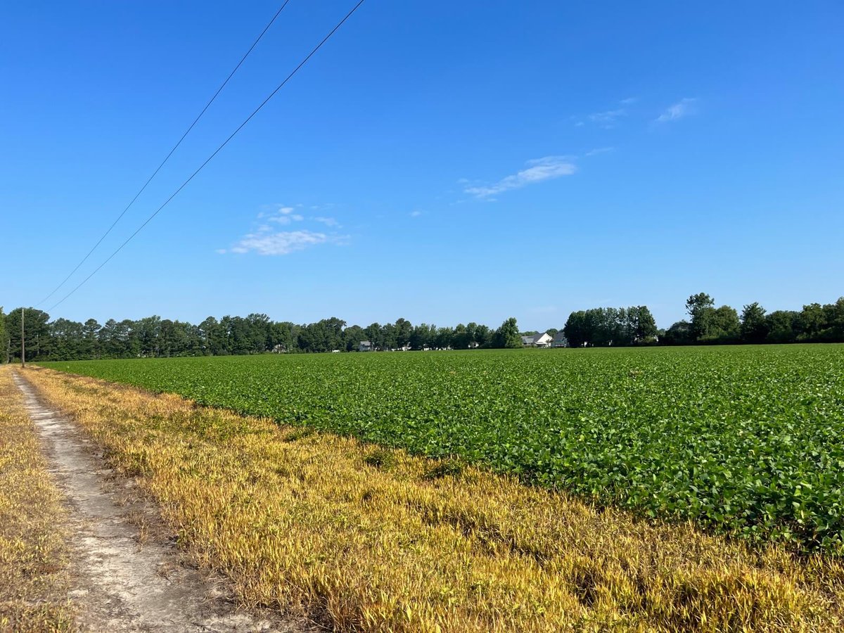 photo of salem conservation easement nc