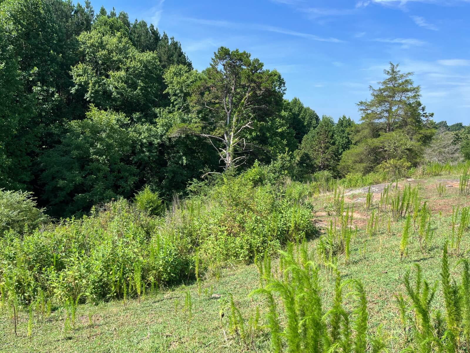 photo of slowplay conservation north carolina