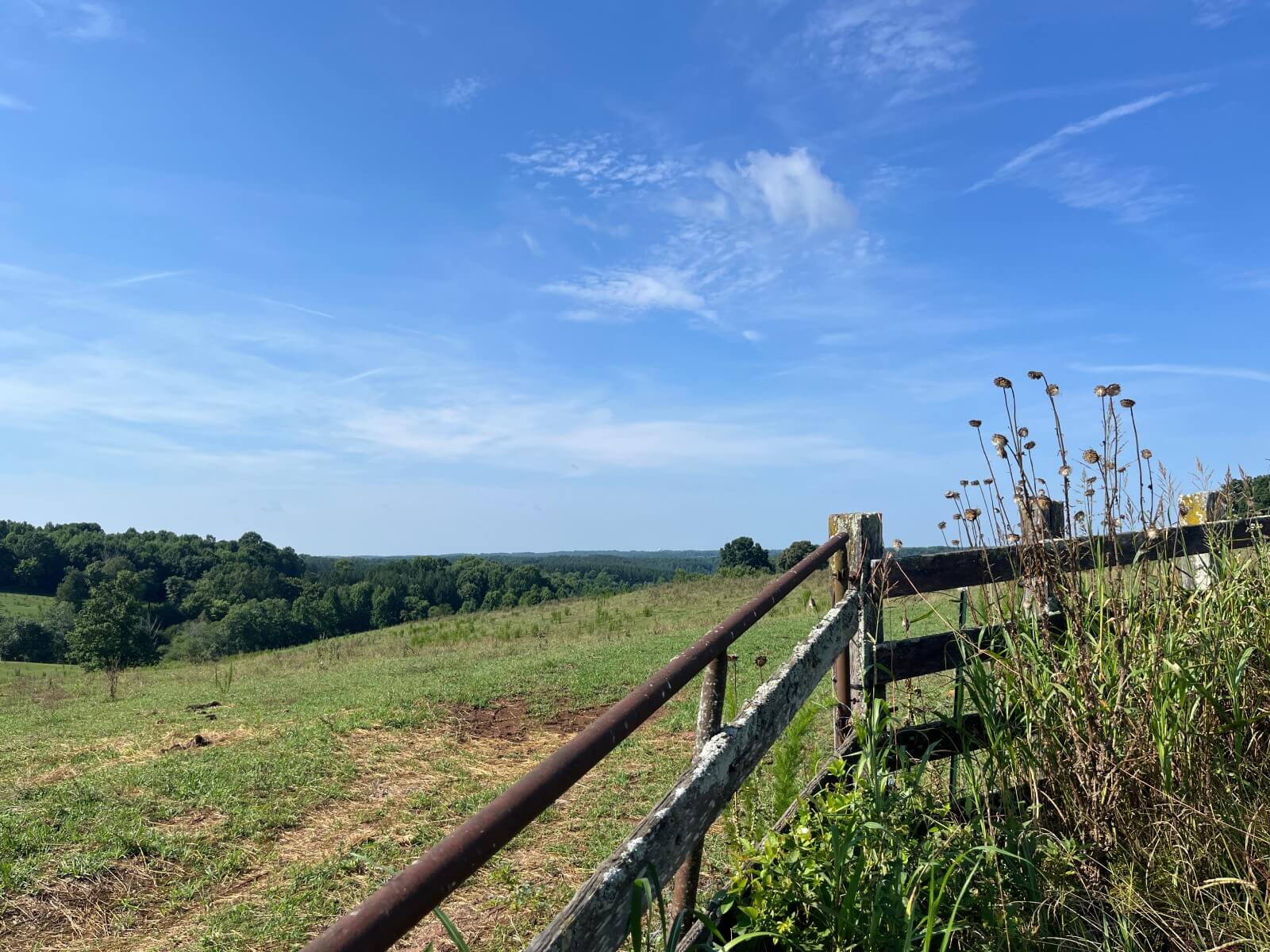 photo of slowplay conservation project NC