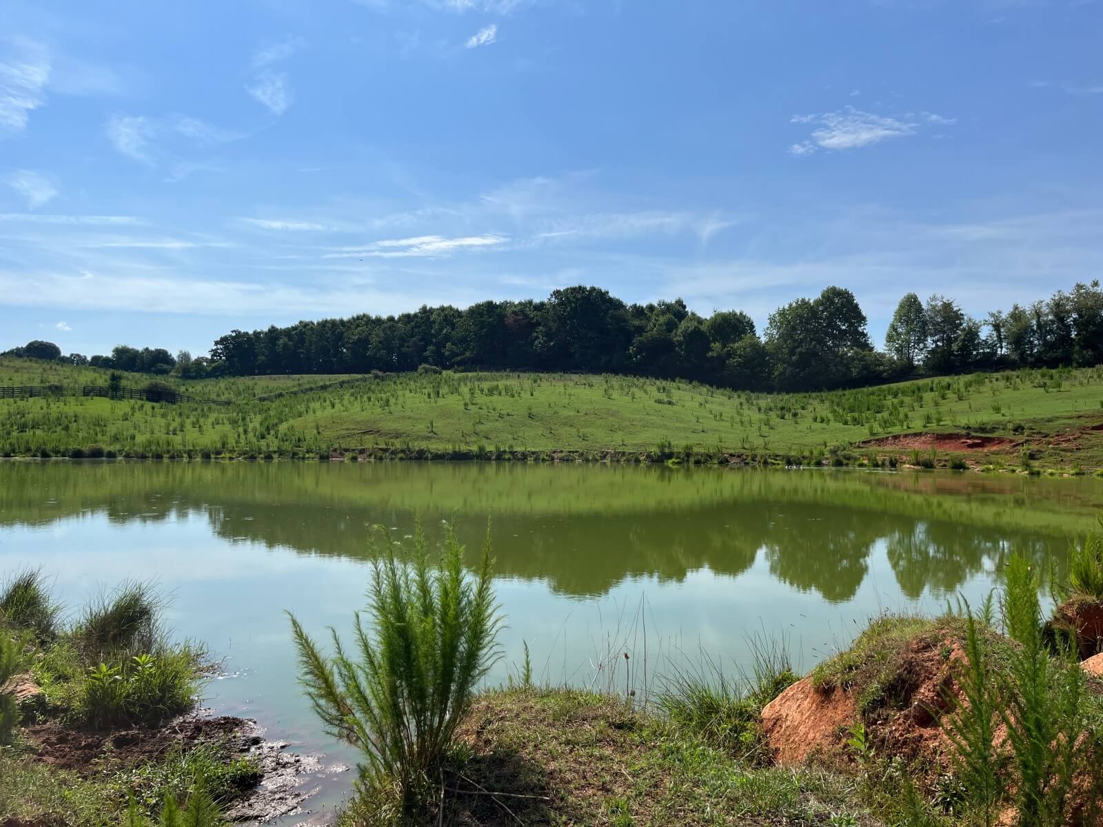 photo of slowplay land conservation easement in north carolina