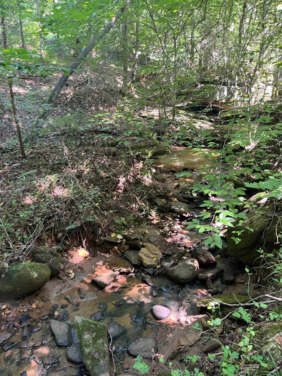 photo of slowplay mitigation conservation easement in north carolina
