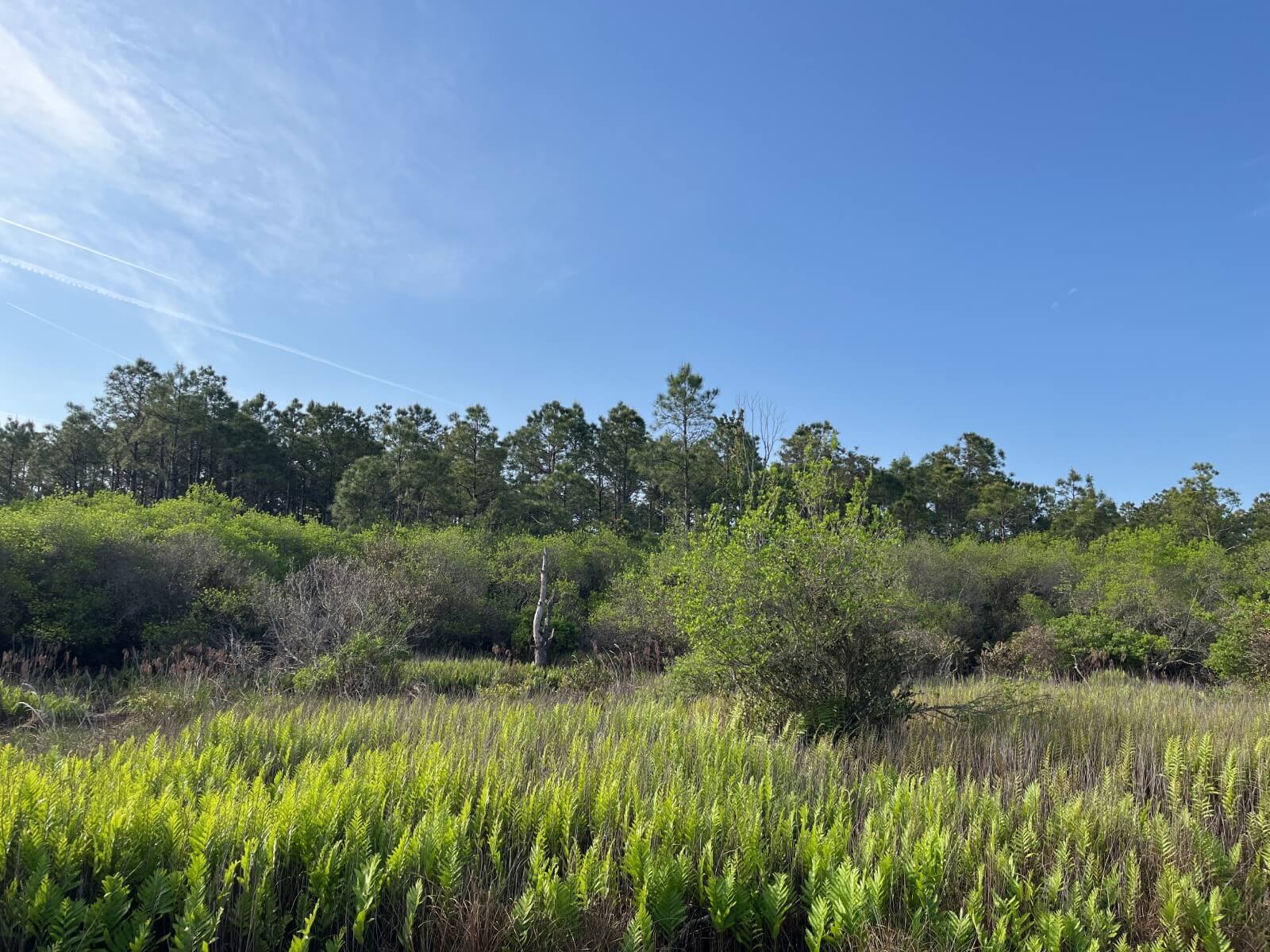 photo of st james conservation easement in north carolina