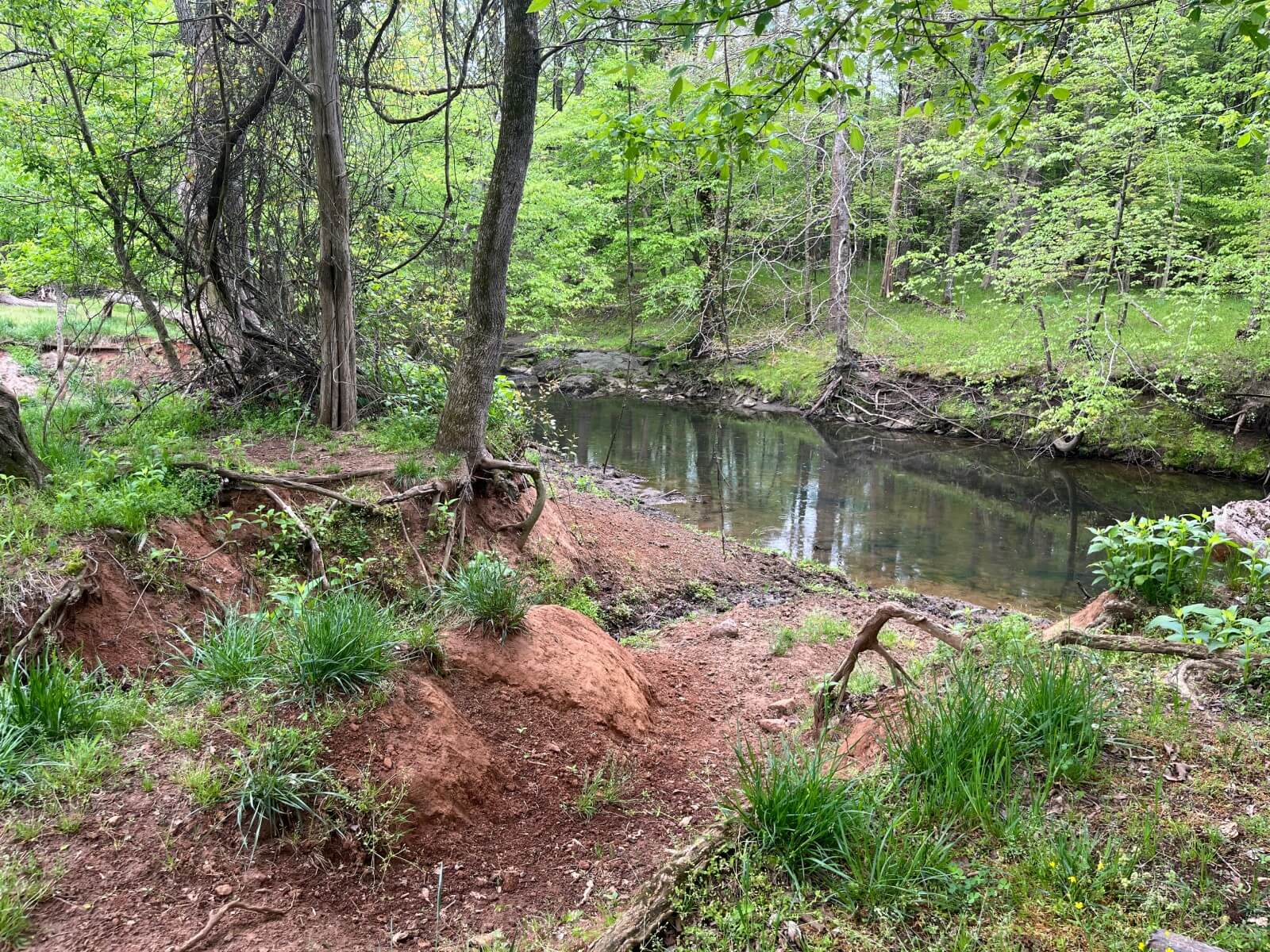 photo of toadstool conservation easement north carolina