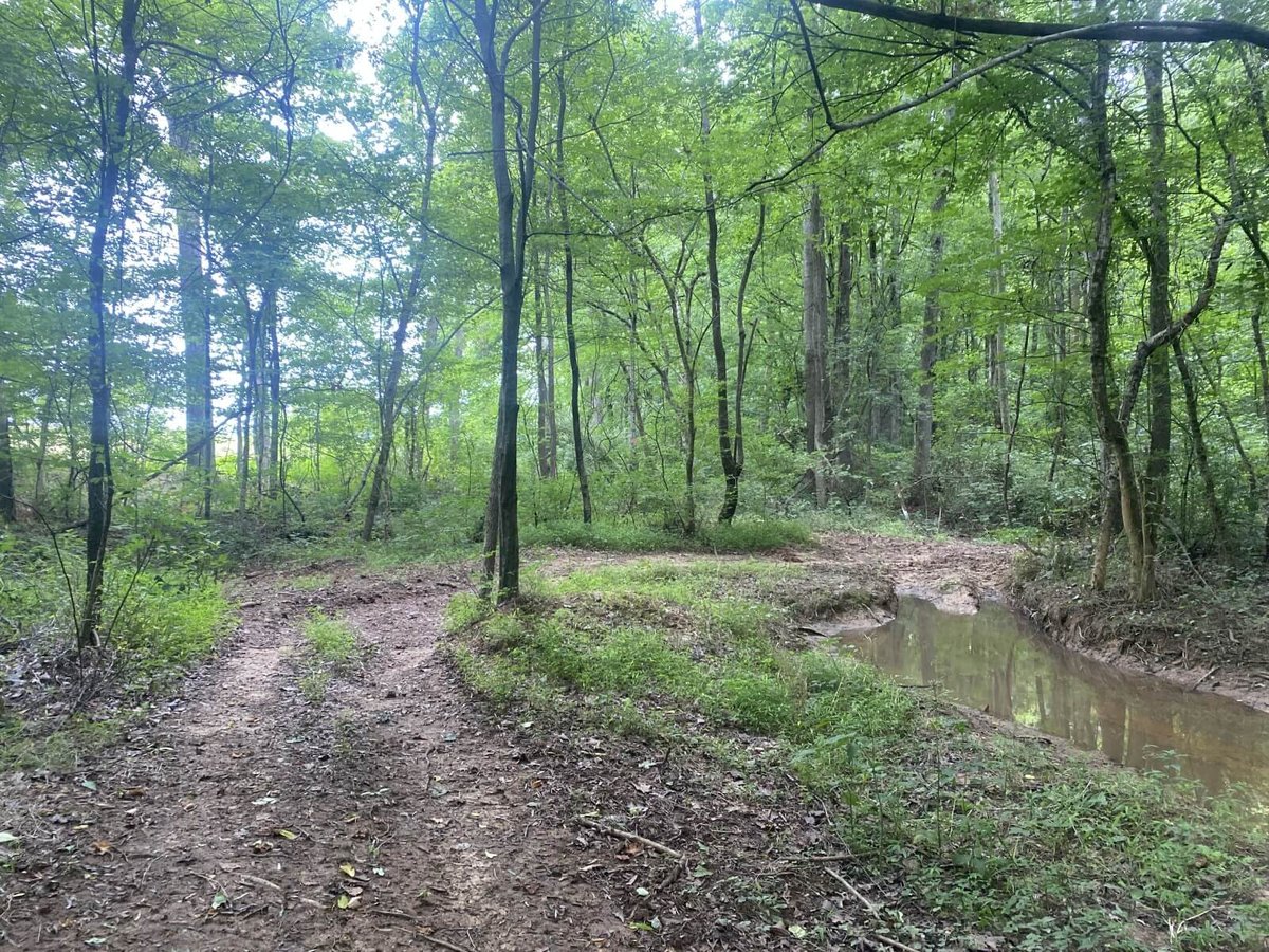 photo of tobacco road conservation easement mitigation banking nc