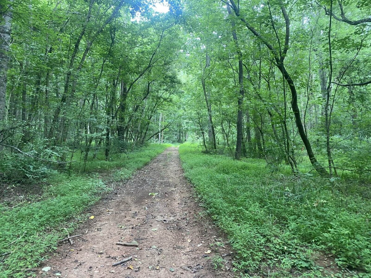 photo of tobacco road conservation easement mitigation banking north carolina