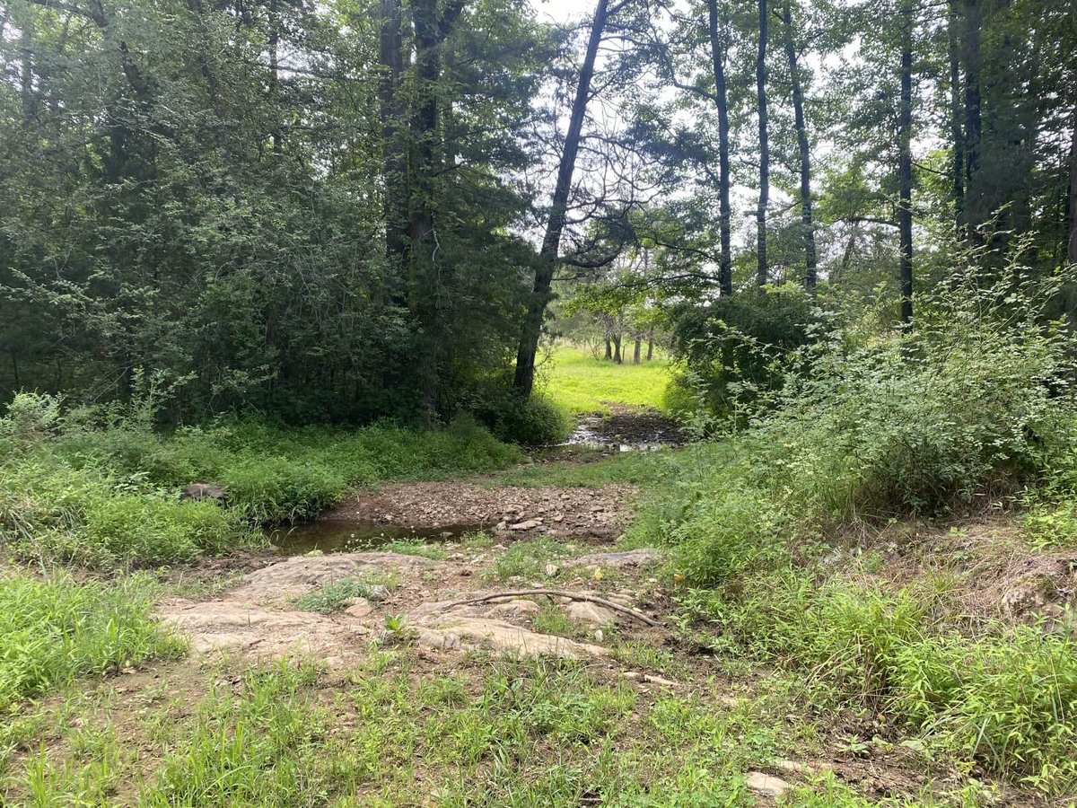 photo of tobacco road conservation easement nc