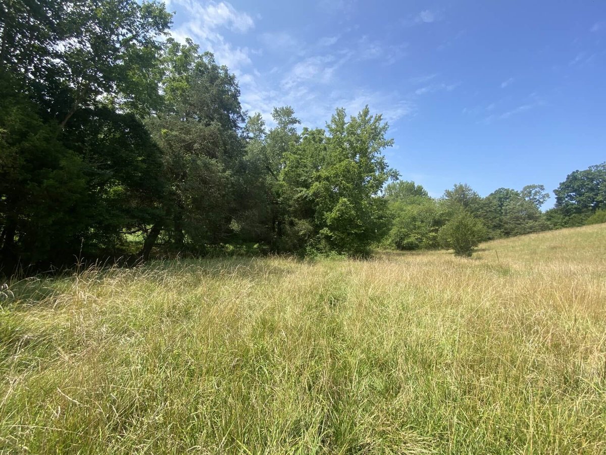 photo of tobacco road conservation easement north carolina