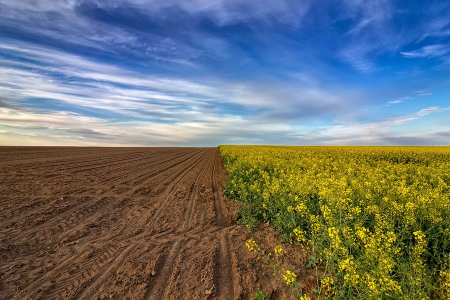 photo of working land conservation for public land