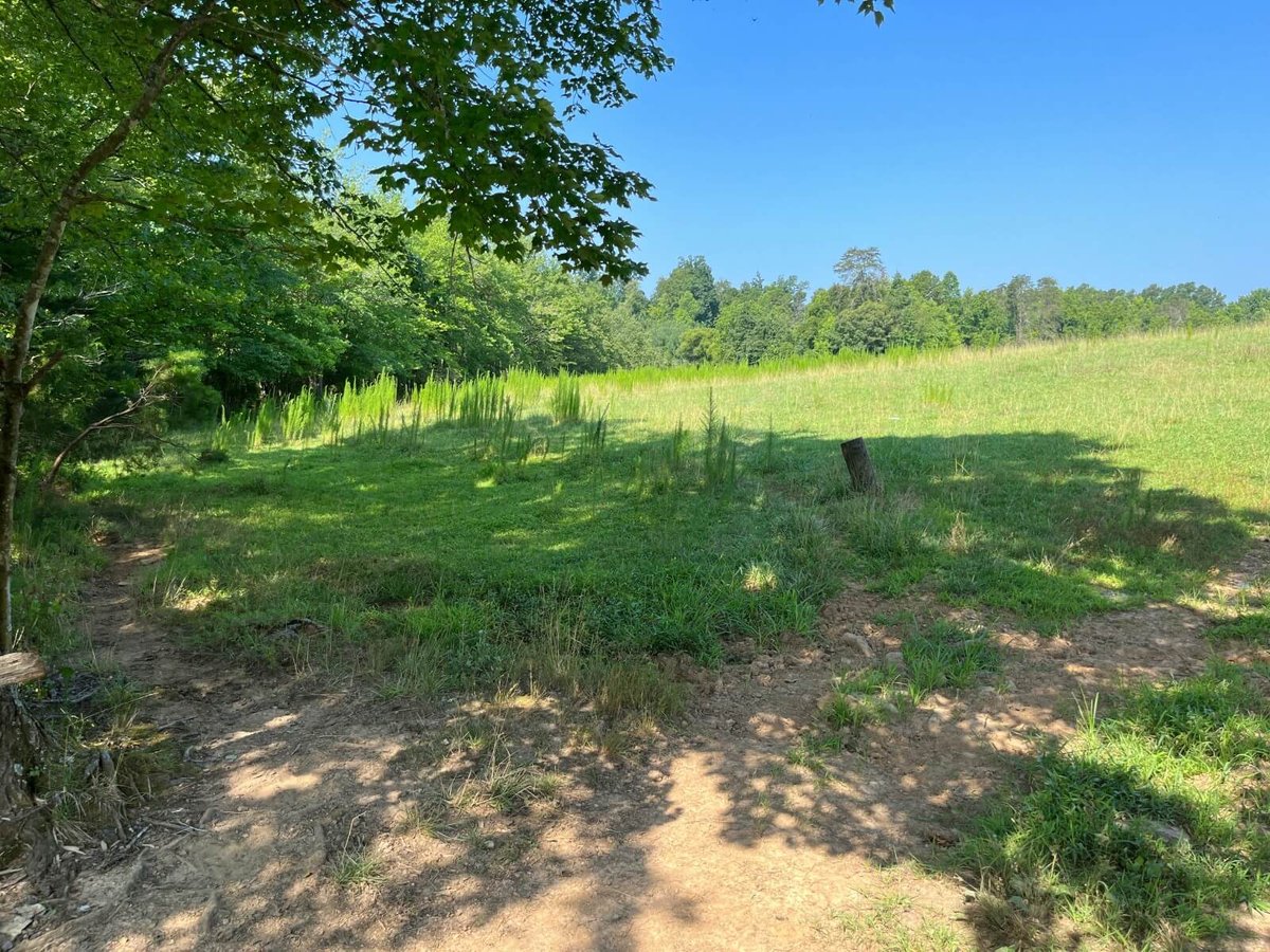 photo of zeb creek conservation easement mitigation banking nc