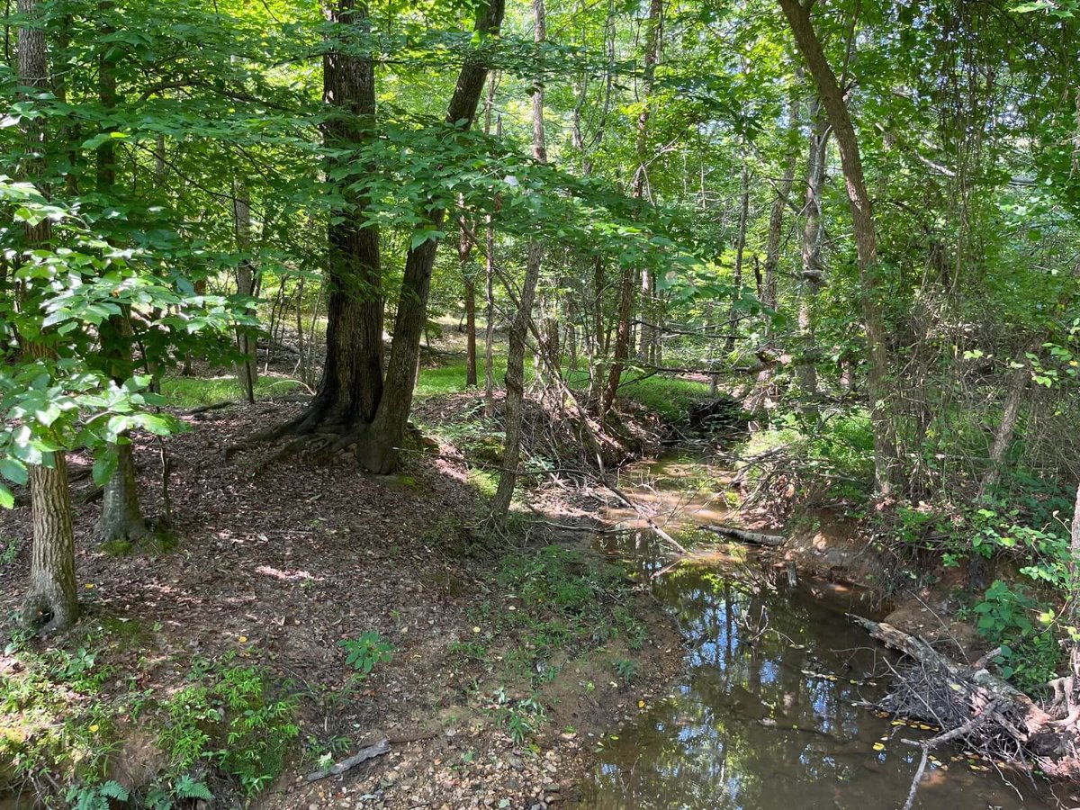 photo of zeb creek conservation easement nc