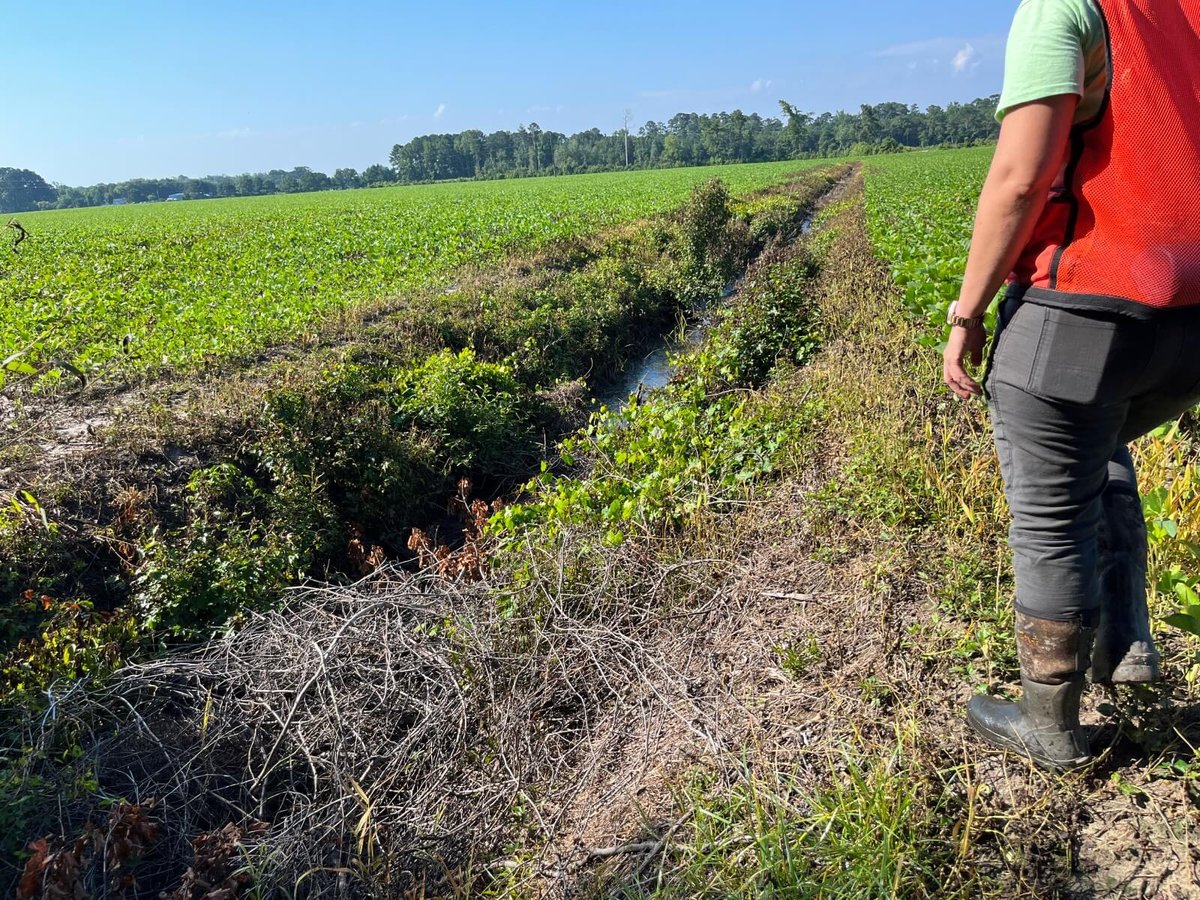 pic of salem conservation mitigation easement north carolina