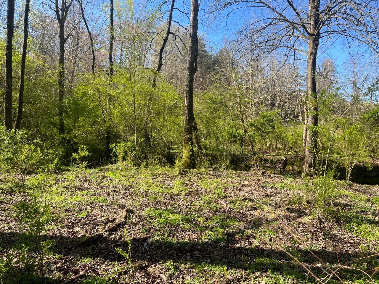 picture of green mesa conservation easement nc