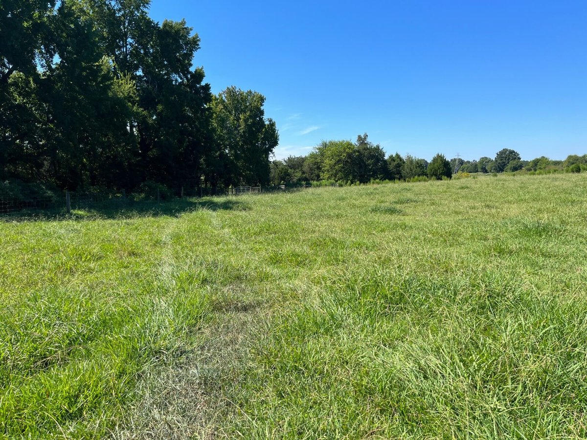 picture of perry hill conservation easement mitigation bank north carolina