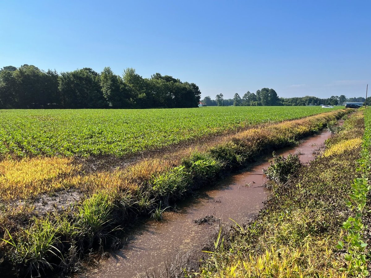 picture of salem conservation mitigation easement nc