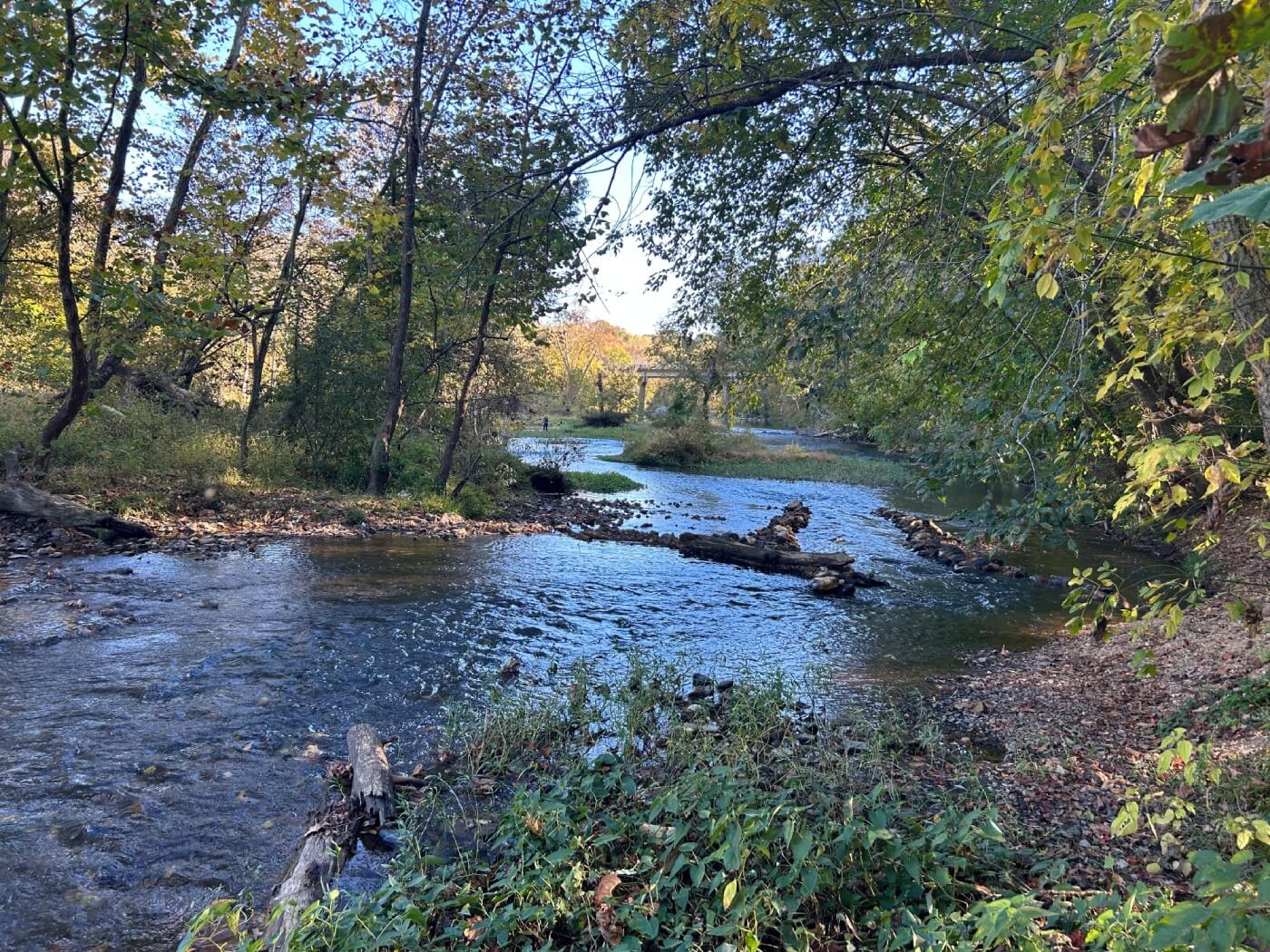 ramseur dam removal