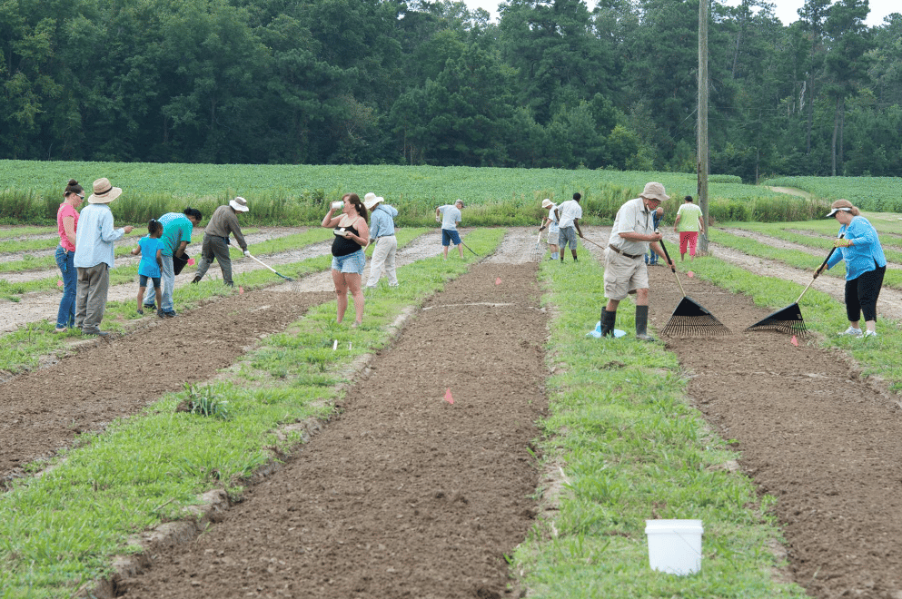 spruill conservation family farm