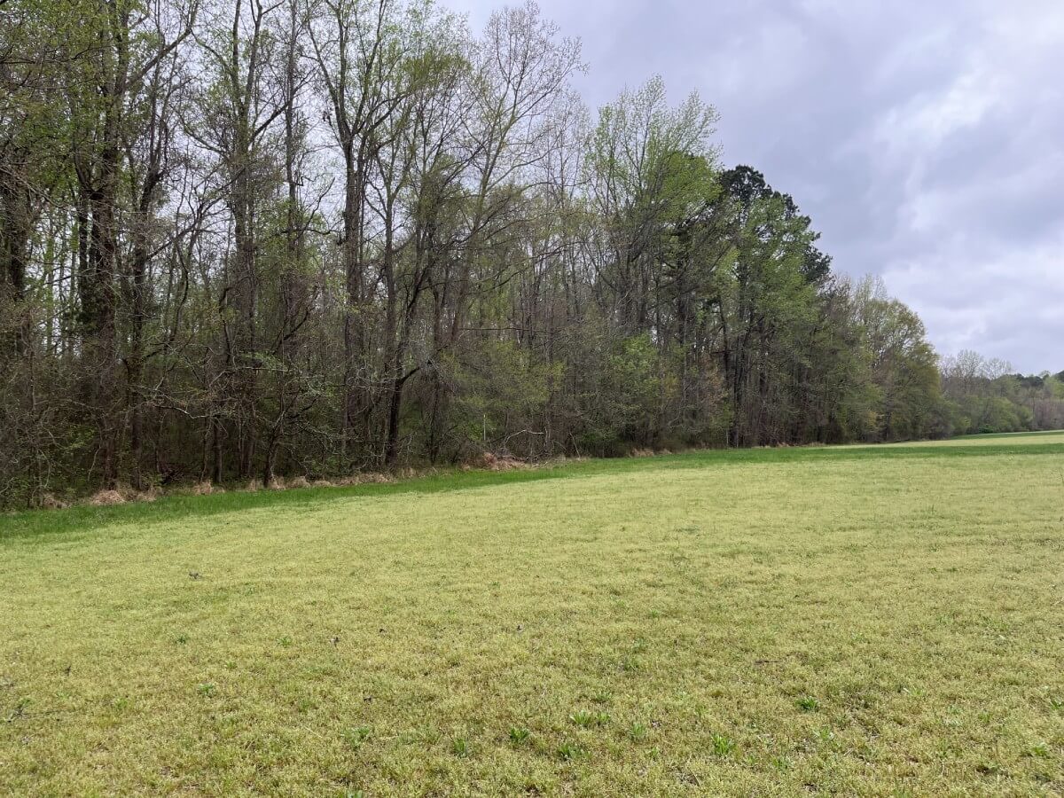 photo of camp creek conservation easement in durham county nc