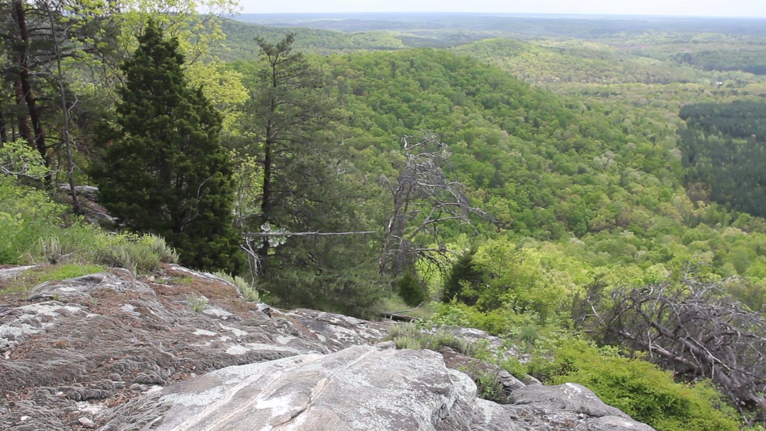 box springs wilderness land conservation in north carolina