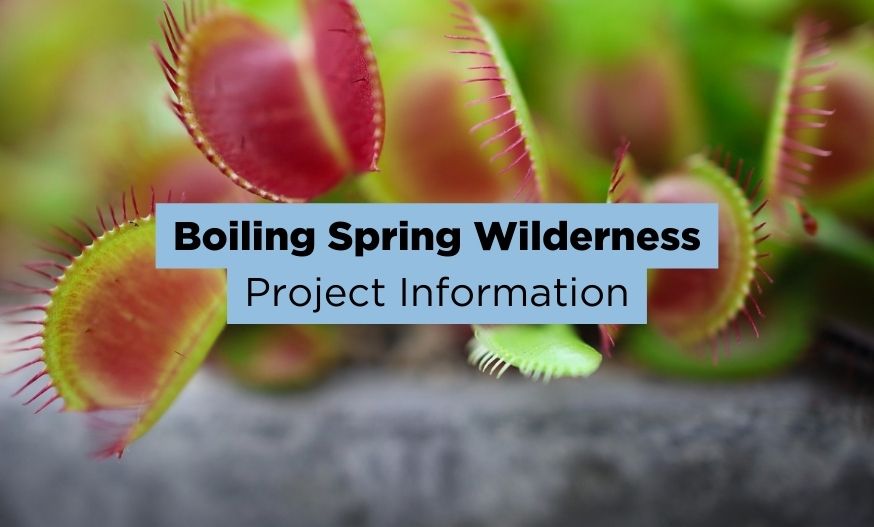 boiling spring wilderness conservation project
