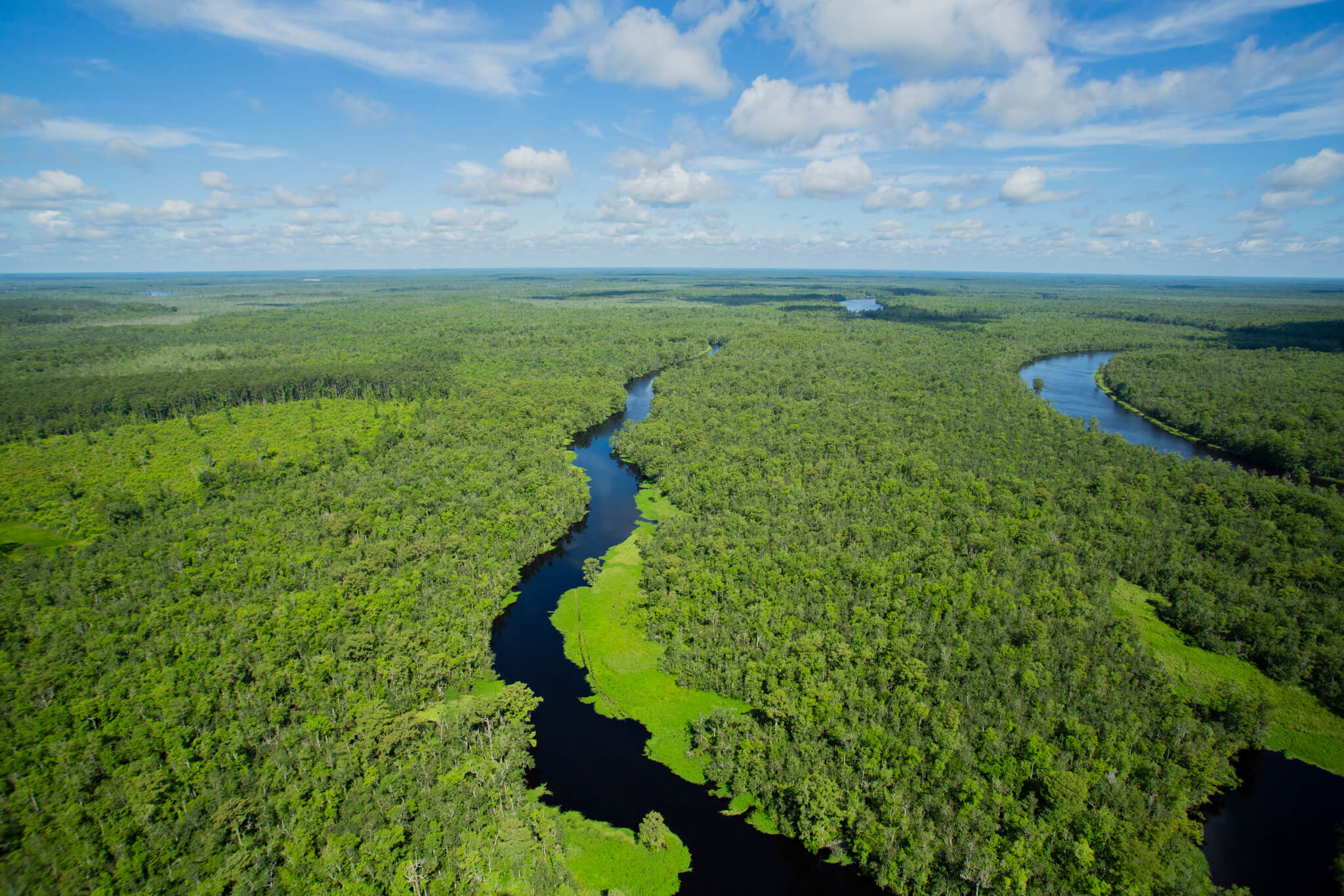 photo of wetlands near the ocean