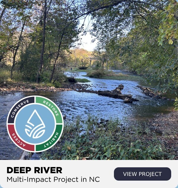 deep river impact project ramseur nc